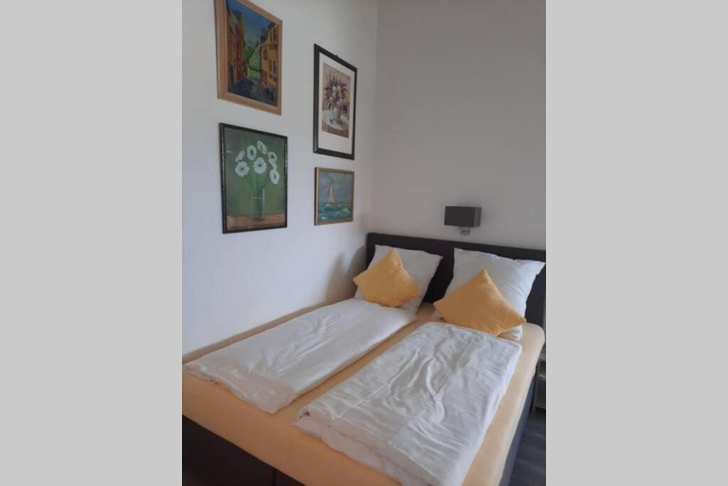 Riva - Appartement Modern - Naehe Montabaur Ruppach-Goldhausen Dış mekan fotoğraf
